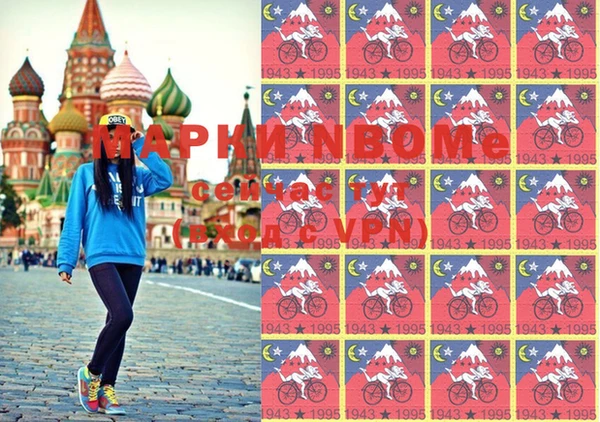 стафф Алзамай