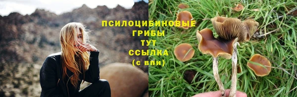 кокаин премиум Алексеевка